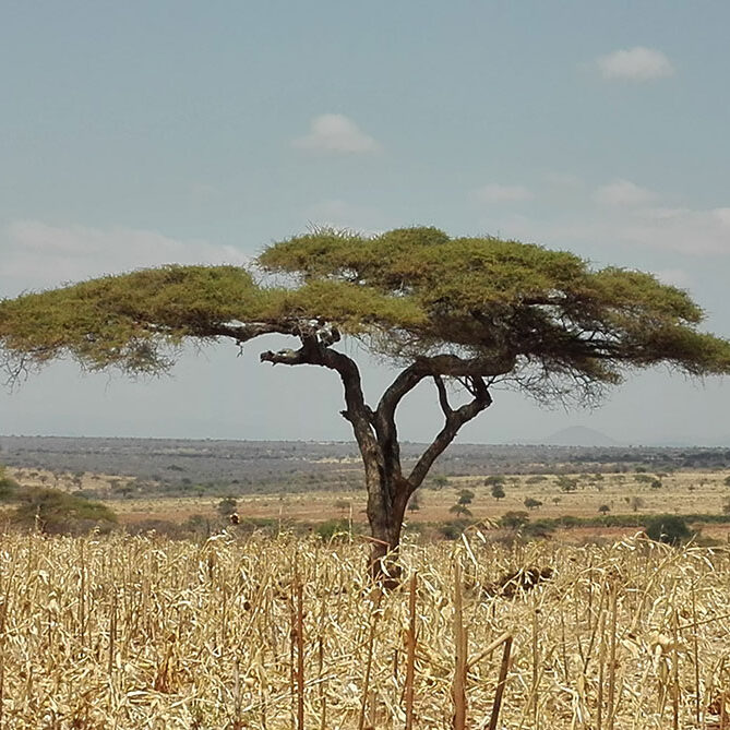 nyumba-yetu-blog-wasi-wasi-2 nyumba-yetu-blog-wasi-wasi-2
